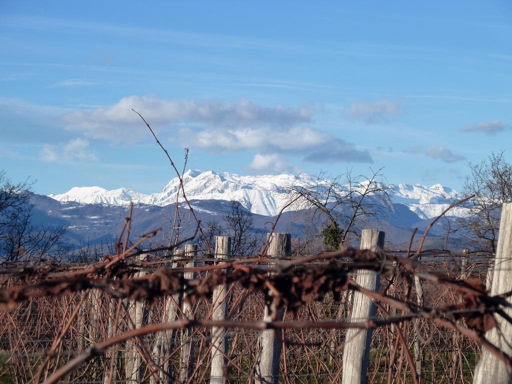 Tenuta Perusini Corno di Rosazzo Zewnętrze zdjęcie